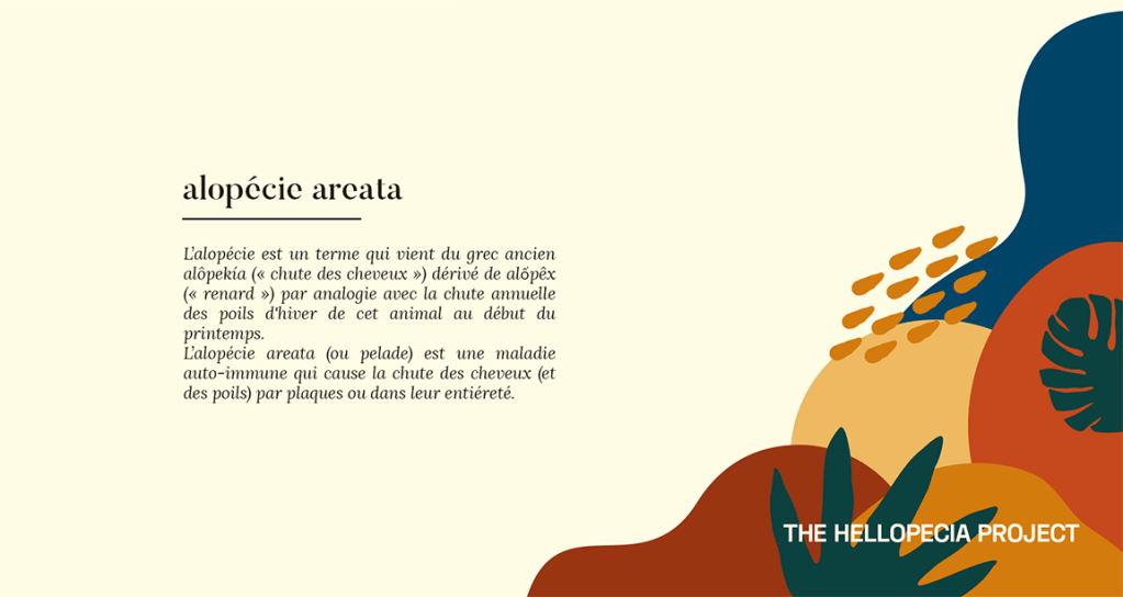 alopécie areata
L'alopécie est un terme qui vient du grec ancien alôpekia ("chute des cheveux") dérivé de alốpêx ("renard") par analogie avec la chute annuelle des poils d'hiver de cet animal au début du printemps.
L'alopécie areata (ou pelade) est une maladie auto-immune qui cause la chute des cheveux (et des poils) par plaques ou dans leur entièreté.